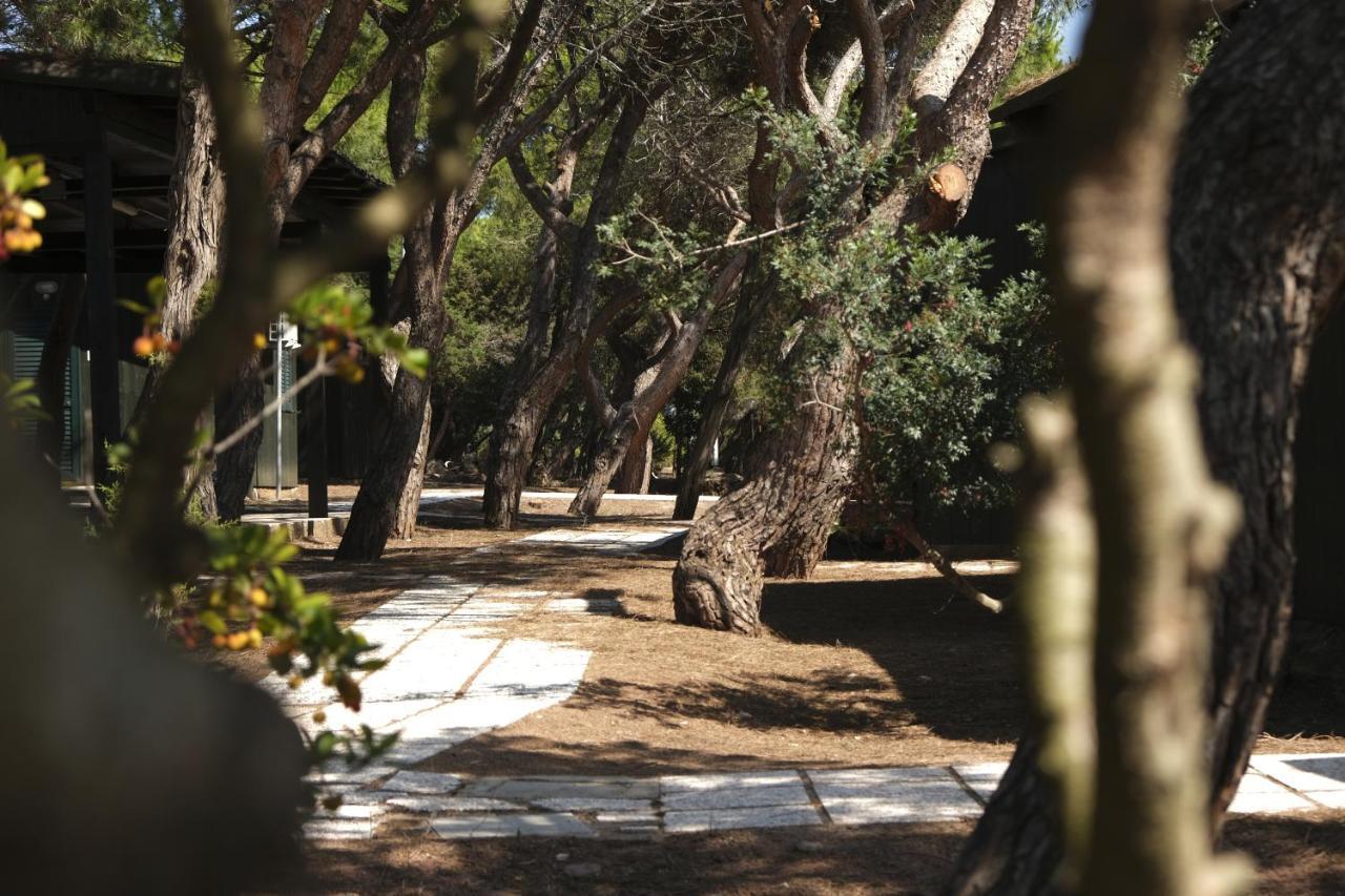 Villaggio Camping Torre Del Porticciolo 포르토 콘테 객실 사진