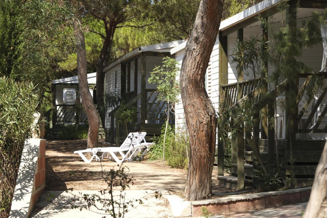 Villaggio Camping Torre Del Porticciolo 포르토 콘테 외부 사진